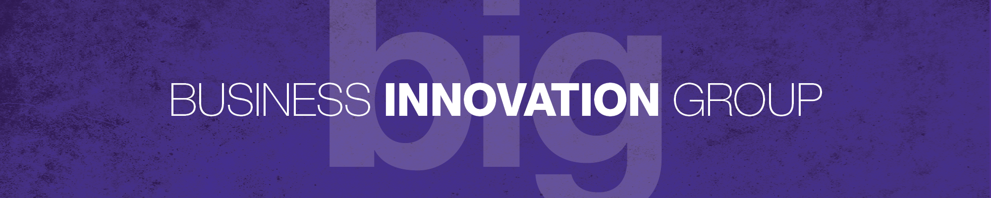 Business Innovation Group Business Innovation Group logo